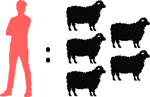 Human to sheep ratio of 1 to 5
