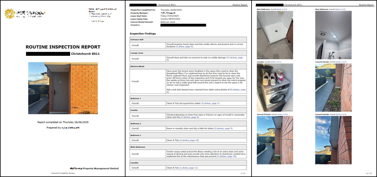 Example of an Inspection Report